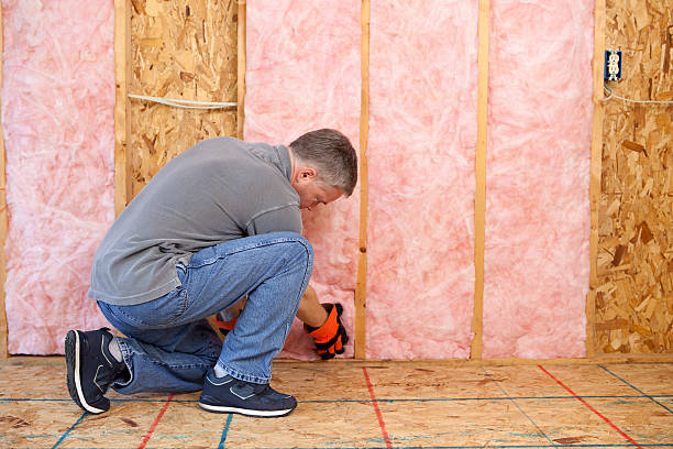 Best Batt and Roll Insulation  in Breckenridge, MN